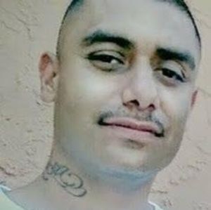 Meet your Posher, Louie